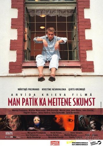 Man patik, ka meitene skumst (2005)