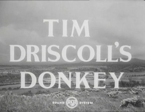 Tim Driscoll's Donkey