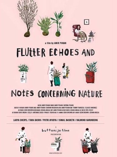 Flutter Echoes and Notes Concerning Nature (2015)