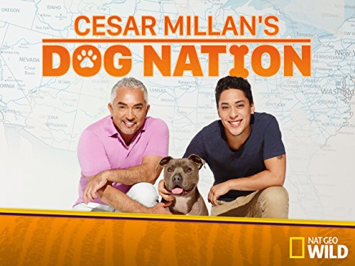 Cesar Millan's Dog Nation (2017)