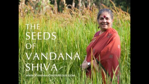 The Seeds of Vandana Shiva (2016)