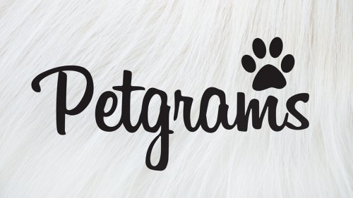Petgrams (2014)
