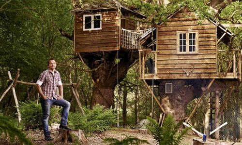 Jimmy's Forest (2012)