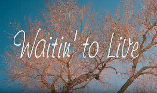 Waitin' to Live (2006)