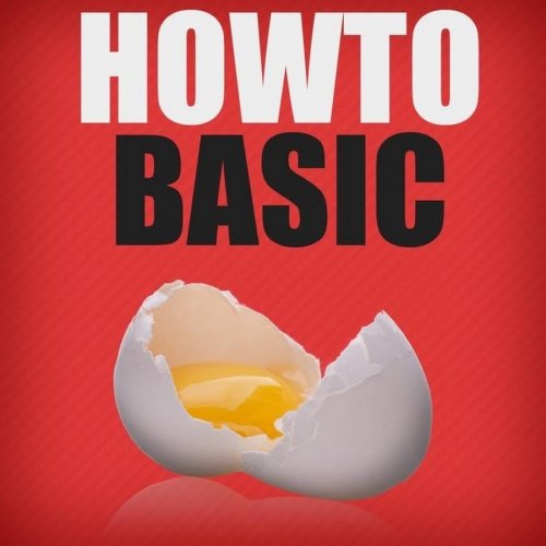 HowToBasic (2011)