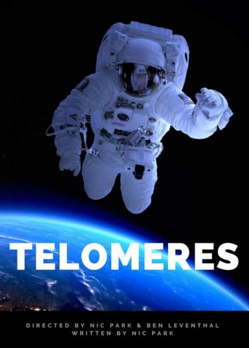 Telomeres (2012)