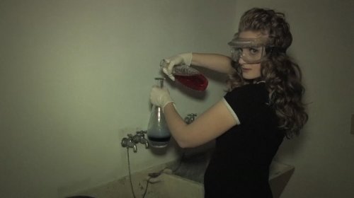 Do Not Forsake Me Oh My Darling: First We Take Manhattan (2011)