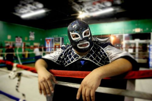 Wappo vs. The World (2013)