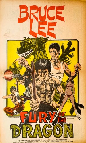 Fury of the Dragon (1976)