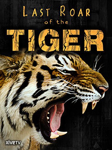 Conflict Tiger (2006)