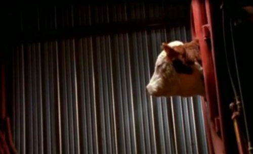 Stairway to Heaven (2001)