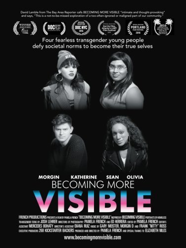 Becoming More Visible (2015)