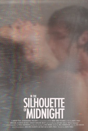 In the Silhouette of Midnight (2014)
