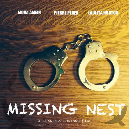 Missing Nest (2015)