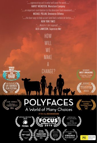 Polyfaces (2015)