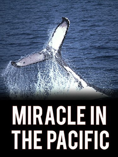 Miracle in the Pacific (2004)
