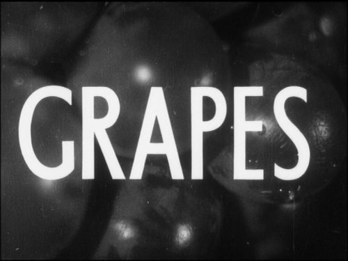 Australian Wines (1931)