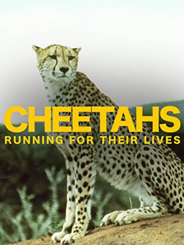 Cheetahs: Running for Their Lives (1997)
