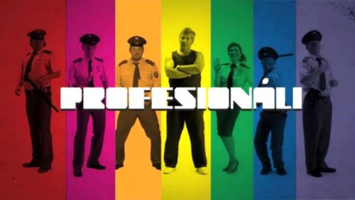 Profesionali (2008)