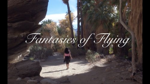 Fantasies of Flying (2015)