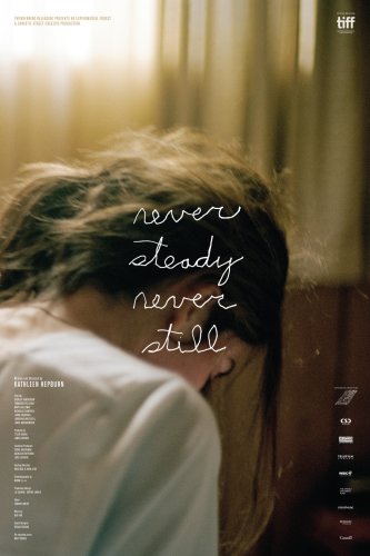 Never Steady, Never Still (2016)