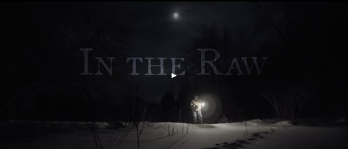 In the Raw (2015)