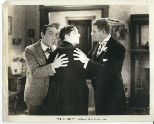 The Sap (1929)