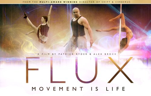 Flux (2015)