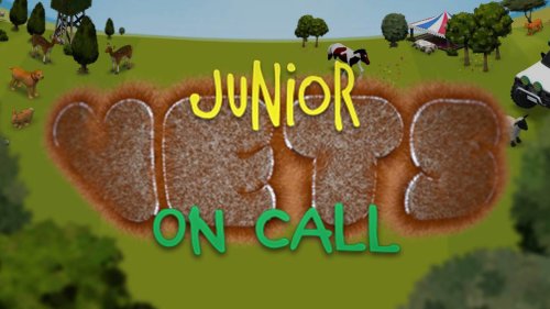 Junior Vets on Call