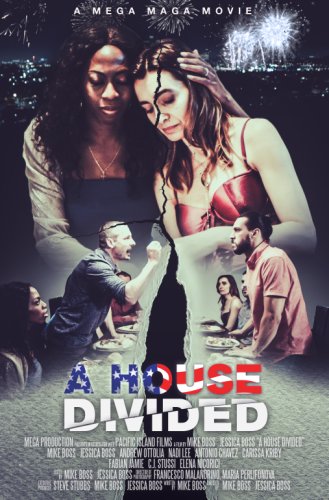 A House Divided... A Mega Maga Movie (2020)