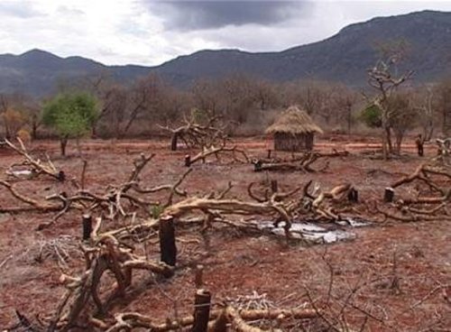 Running Dry (2005)