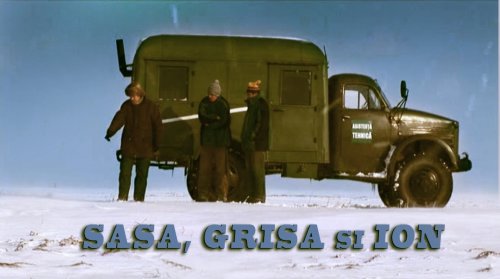 Sasa, Grisa si Ion (2006)