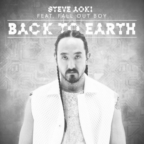 Steve Aoki Featuring Fall Out Boy: Back to Earth (2015)