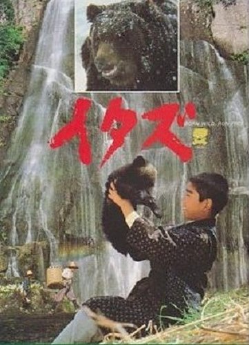Itazu - Kuma (1987)