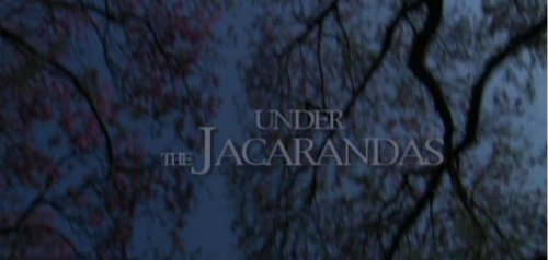 Under the Jacarandas (2022)