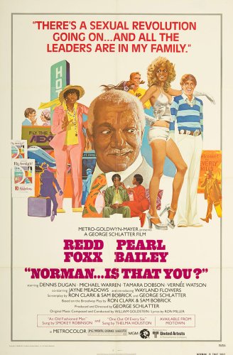 Norman... Is That You? (1976)