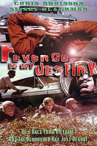 Revenge Is My Destiny (1971)