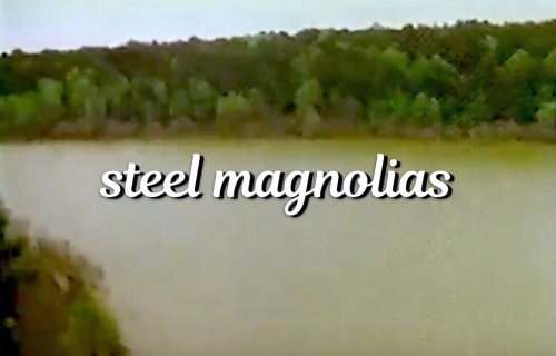 Steel Magnolias (1990)