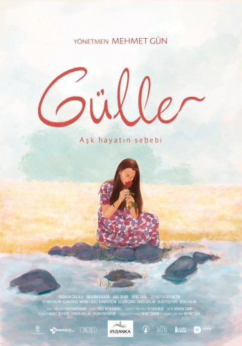 Güller (2019)