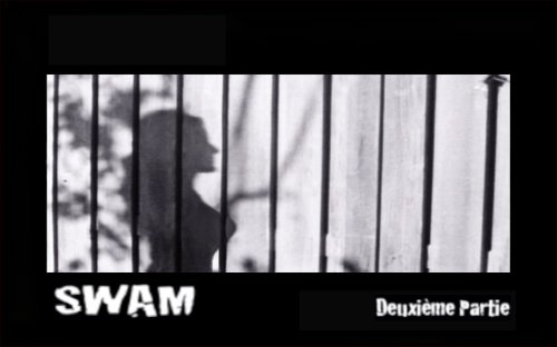 SWAM Part: II (2008)