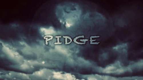 Pidge (2011)