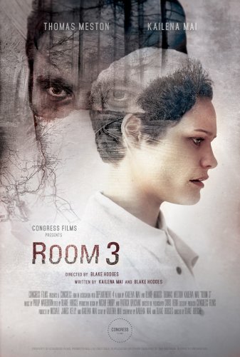 Room 3 (2015)