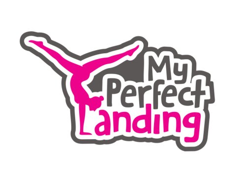 My Perfect Landing (2020)