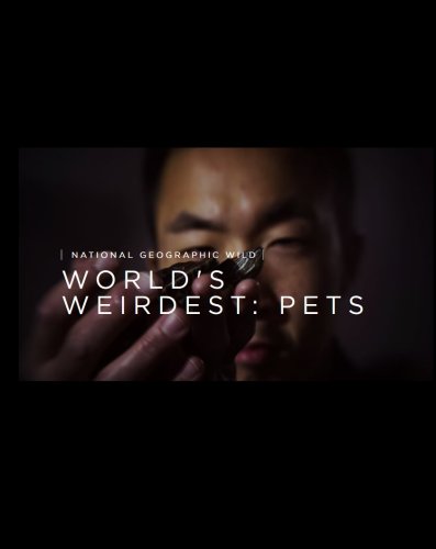 World's Weirdest: Pets