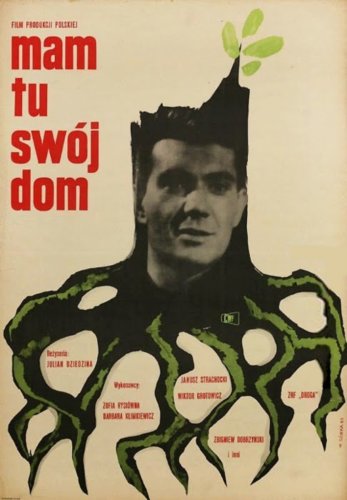 Mam tu swój dom (1963)