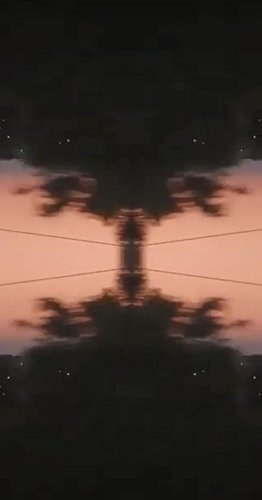 Andre Yaniv: Dontajas (2019)