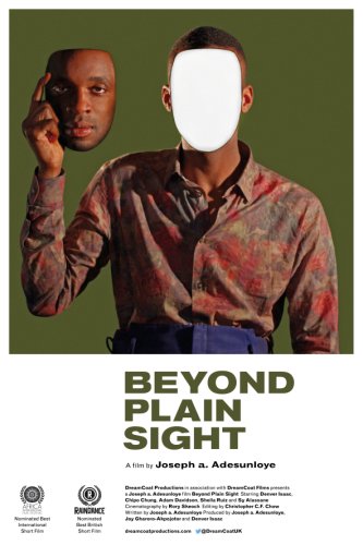 Beyond Plain Sight (2014)