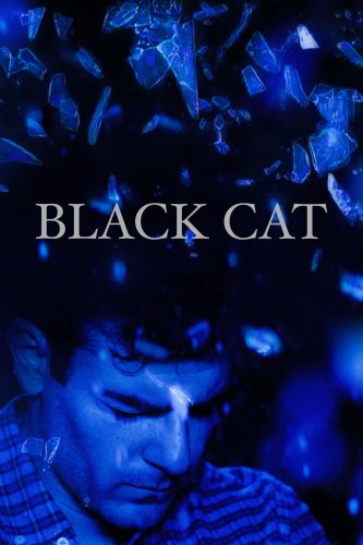 Black Cat (2016)