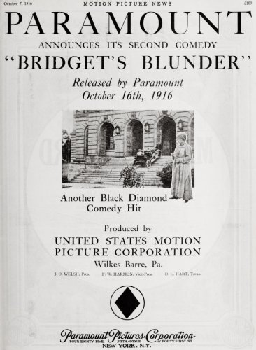 Bridget's Blunder (1916)