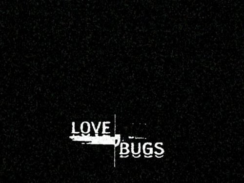Love Bugs 2 (2005)